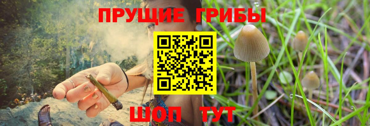 Усинск  Галлюциногенные грибы мухоморы  Вход с VPN 